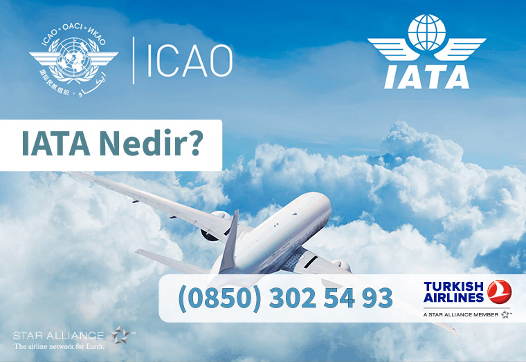 IATA Nedir?