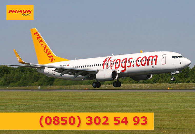 Pegasus İletişim