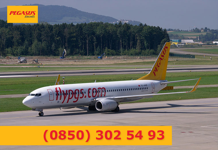 Pegasus İletişim