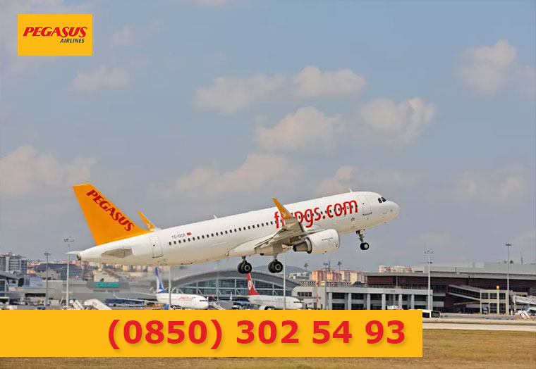 Pegasus İletişim